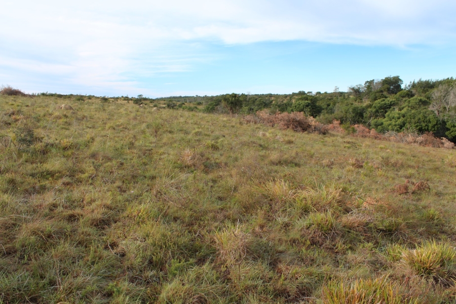 1 Bedroom Property for Sale in Bathurst Rural Eastern Cape